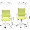 Alex Daisy Mesh Study Chair (Standard, Green) : Amazon.in: Home & Kitchen