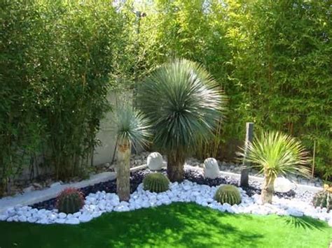 How to create a desert garden of your dream | homify