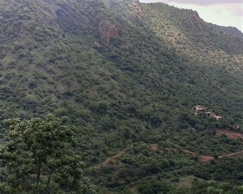 WILD ROCK RESORT (Dindigul) - Specialty Resort Reviews & Photos ...