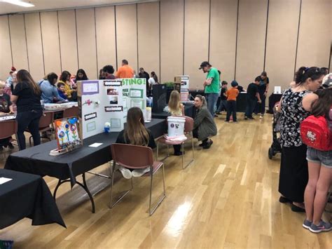 Science Fair Tips 的图像结果