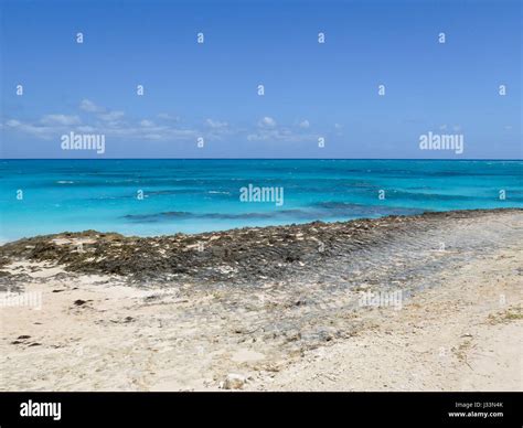 Paradisiacal coral beach in the Great Abaco Island, Bahamas Stock Photo ...