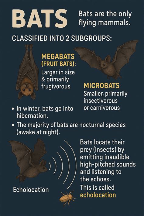 Echolocation: Bats, Dolphins and Whales