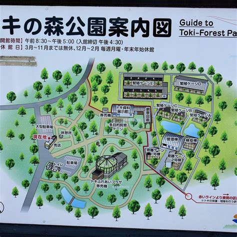 TOKI NO MORI PARK (2025) All You Need to Know BEFORE You Go (with ...