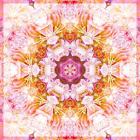 Mandala Monday Inspirations - Mandalas from the Depth of Love 1