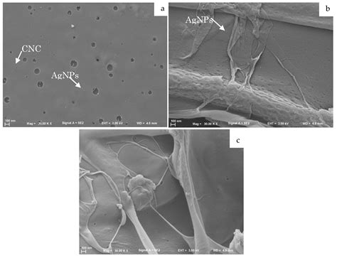 Development and Characterization of Highly Stable Silver NanoParticles ...
