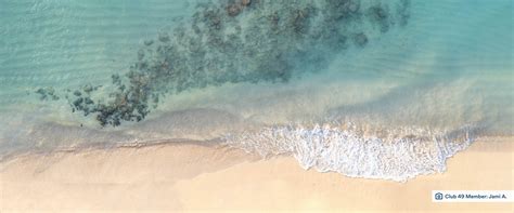 Join – Club 49 Hub