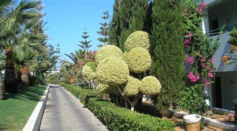 ELDORADOR CRETA MARINE (Rethymnon, Crete) - Hotel Reviews & Photos ...