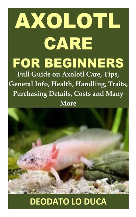 Buy AXOLOTL CARE FOR BEGINNERS: Full Guide on Axolotl Care, Tips ...