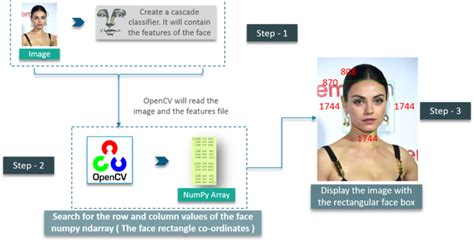 OpenCV Python Edureka 的图像结果