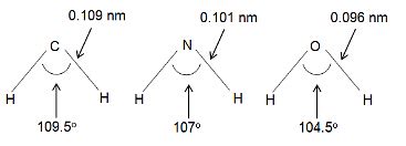 The bond lengths and bond angles in the molecules of methane, ammonia ...