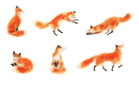 狐狸,树桩,幸福,卡通,可爱的,坐,野生动物,肖像,橙色,坐设计模板,汇图网www.huitu.com