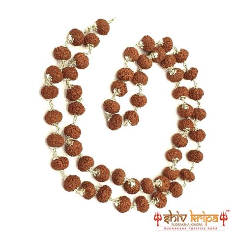 9 Mukhi Rudraksha Mala in Pure Silver, 54+1 Beads 9mm Size – Shiv Kripa ...
