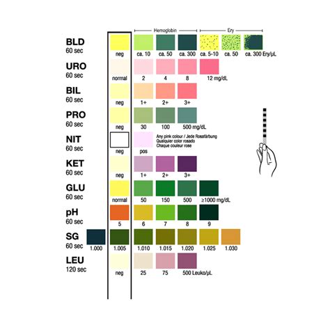 Urinalysis Test Strips Chart at William Fellows blog