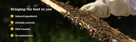 Honey Twigs Cinnamon Honey | 100% Natural & Pure Honey, 240g (30 ...