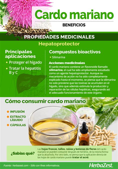 Estos Son Los Beneficios Del Cardamomobeneficios Y Contraindicaciones ...