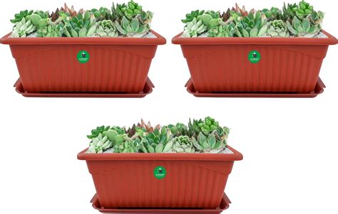 Leafy Tales Plastic Pots, Black 4 inch Size 15 Piece, Small : Amazon.in ...