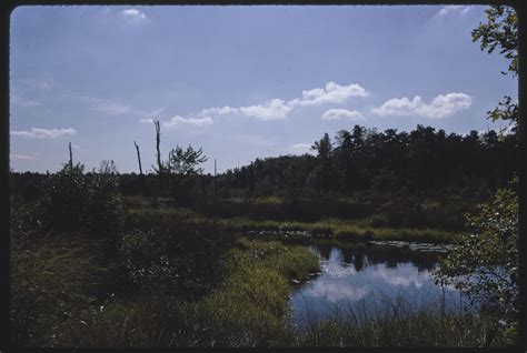 Tabernacle New Jersey