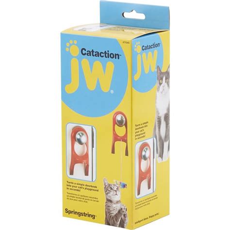 Image result for String Spring