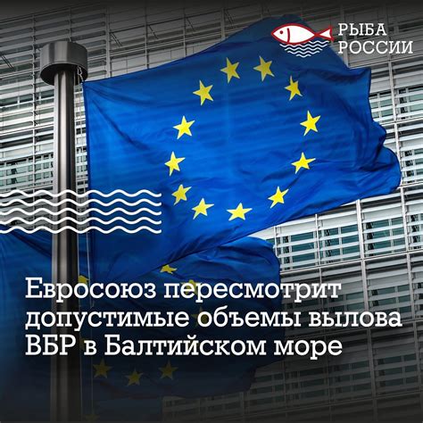 Рыба России - 🚢 Дальневосточные регионы отчитались перед правительством ...