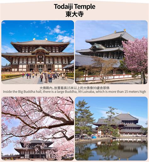[Nara & Uji] Nara Park & Todaiji Temple & Byodoin Temple & Uji Matcha Food & Hot Spring World ...