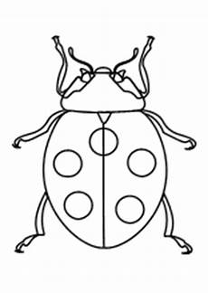 malvorlagen insekten pdf malvorlagen insekten schmetterlinge k 228 fer lustige malvorlagen insekten pdf malvorlagen insekten schmetterlinge k 228 fer lustige