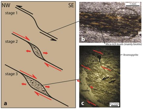 Structural Control of Ore Deposits: The Role of Pre-Existing Structures ...