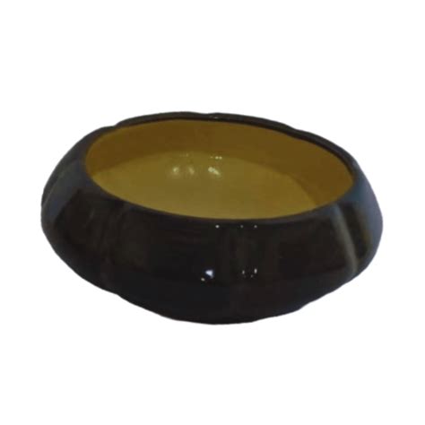 Pehal Bowl Colour Pot – ManBhawan Nursery