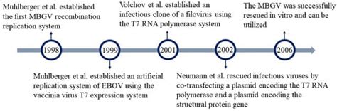 Developments in Negative-Strand RNA Virus Reverse Genetics