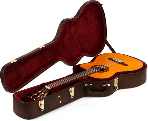 What Can You Do With Classical Guitar | INS.
