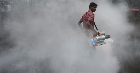 Delhi authorities not interested in handling chikungunya and dengue ...