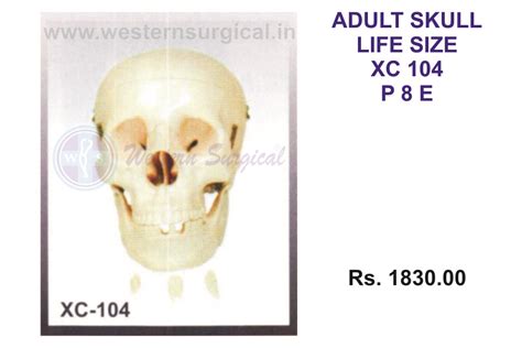 Western Surgical