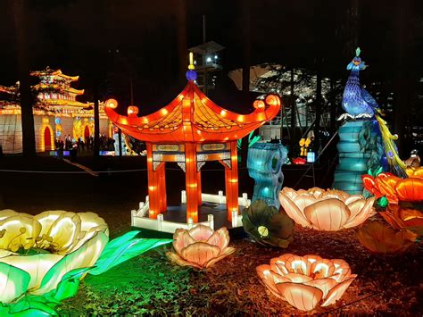 Festival of Light: Chinese Lantern Festival (Cary NC) – American Nomad