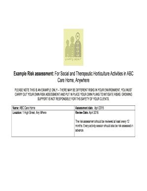 Fillable Online Example Risk assessment: For Social and Therapeutic ...