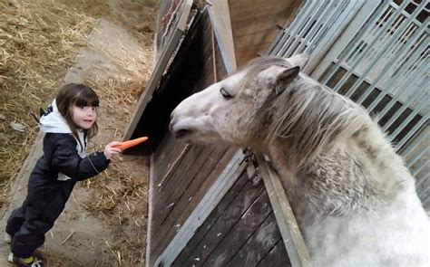 THE SQUIRE FARM (Bucknell) - Cottage Reviews & Photos - Tripadvisor