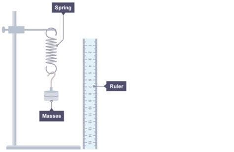 Image result for Extension of a Spring Practical