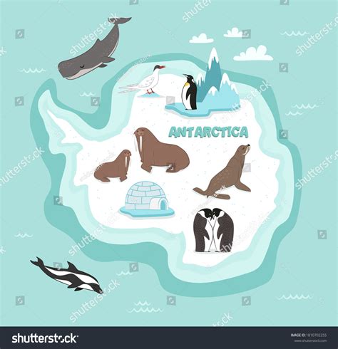Antarctica Wildlife Animal Bird Underwater Life Stock Vector (Royalty ...