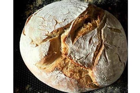 Make your own: the sourdough starter