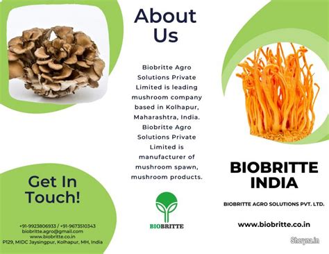 Top mushroom company in India | Other Businessesfor sale in Bangalore ...
