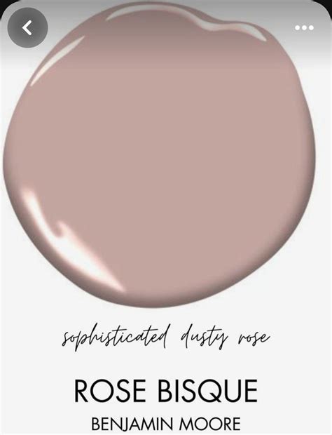 Rose Bisque Paint Color