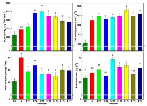 Agronomy | Special Issue : Agronomic and Physiological Performance of ...