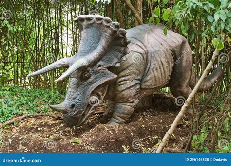 Triceratops Dinosaur from the Late Cretaceous Period. United States Editorial Stock Photo ...