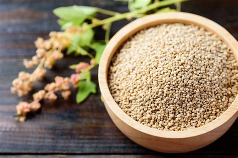 Quinoa Plant Seeds Quinoa Chenopodium Quinoa (Care, Characteristics,