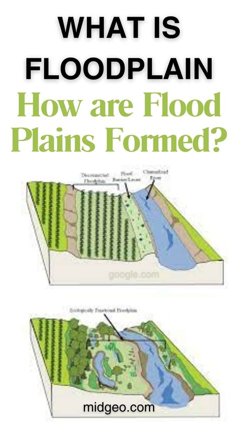 What is Floodplain? How are Flood Plains Formed? | Floodplain, Flood ...