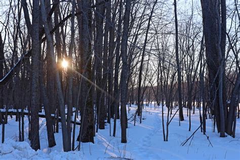 Wadena County MN Jail In-Custody - Brainerd Dispatch | News, weather ...