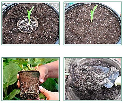 100 Pcs 3" Peat Pots for Seedlings,Plant Starters Pots Kits with Labels ...