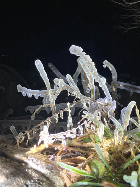 Burrows Park Sportsfield 的图像结果