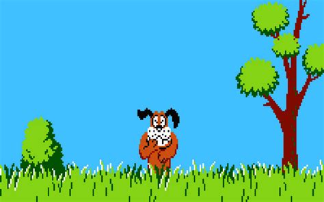 [100+] Duck Hunt Wallpapers | Wallpapers.com