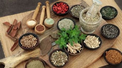 Ayurvedic Medicines For Leucorrhoea
