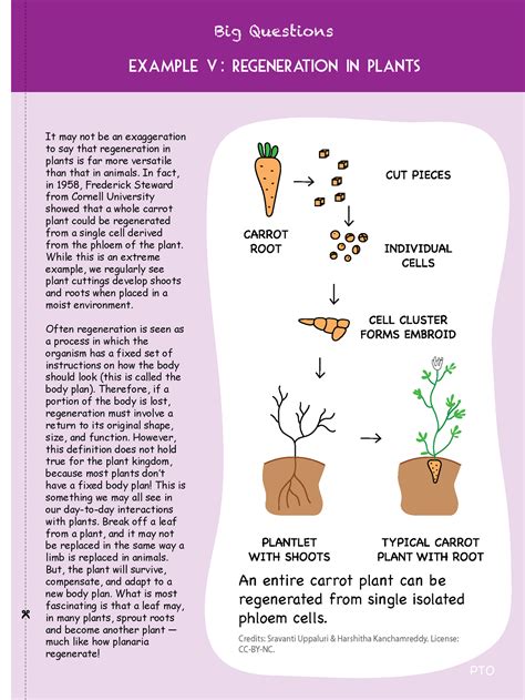 Science Education: Why do some organisms regenerate, while others don’t ...