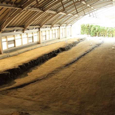 NOJIMA FAULT PRESERVATION MUSEUM (2026) All You Need to Know BEFORE You ...